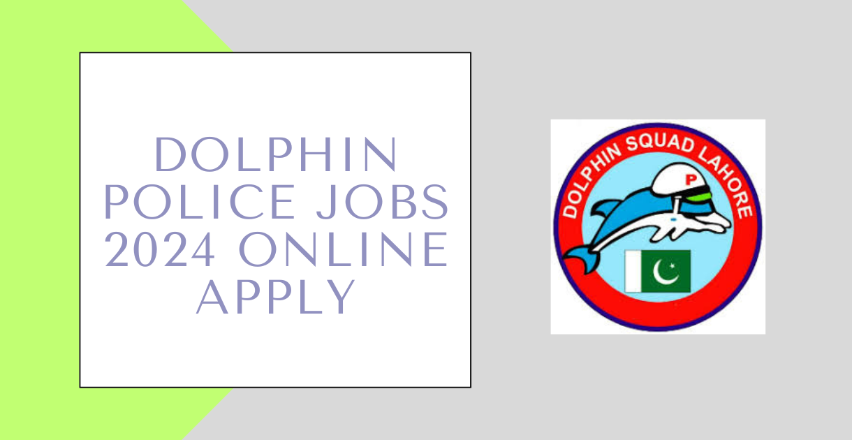 Dolphin Police Jobs 2024 Online Apply